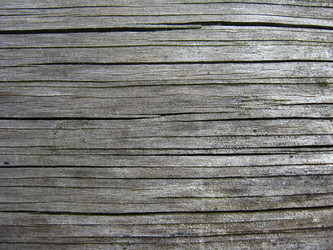 Similar image 1739389