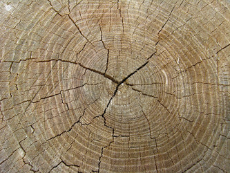 Similar image 1739391