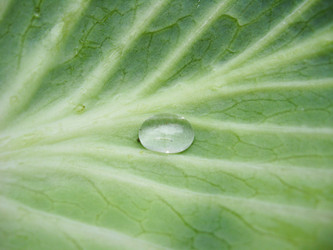 Similar image 1739403