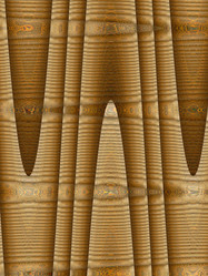 Similar image 1739407