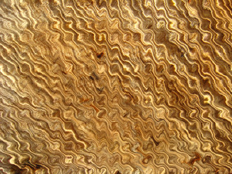 Similar image 1739410