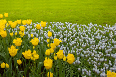 Similar image 1739423