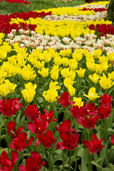 Similar image 1739428