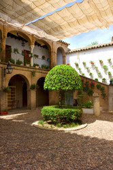 Similar image 1739437