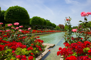 Similar image 1739439