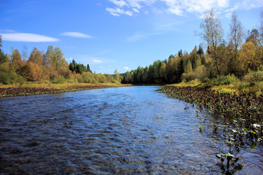 Similar image 1739452