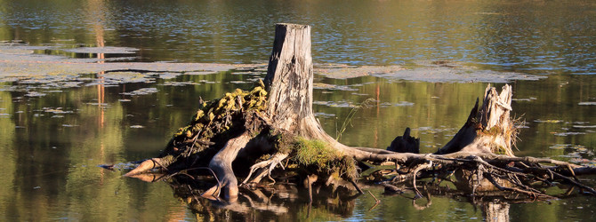 Similar image 1739464