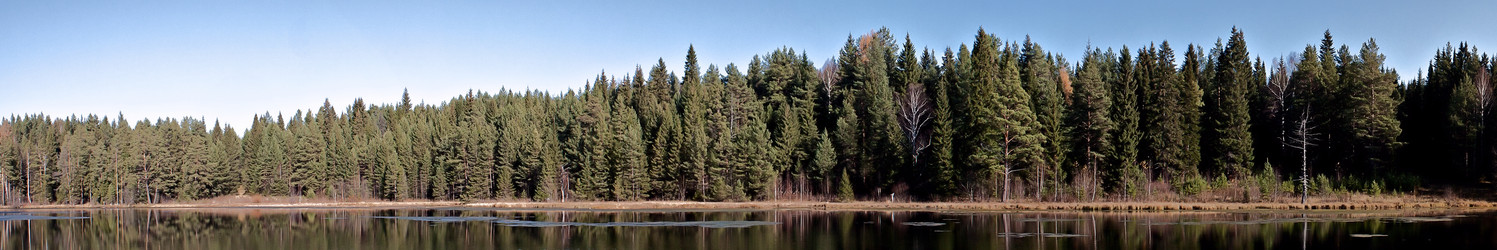 Similar image 1739468