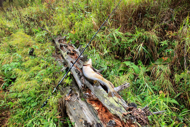 Similar image 1739483