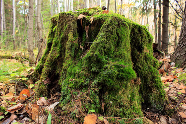 Similar image 1739485