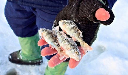 Similar image 1739499