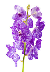 Similar image 1739903