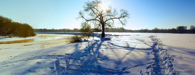 Similar image 1740027