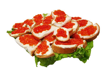 Similar image 1740031