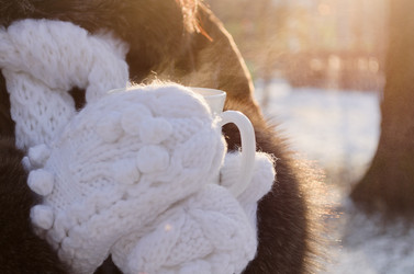 Similar image 1740067