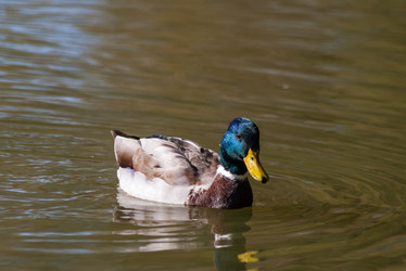 Similar image 1740077