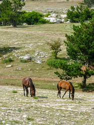 Similar image 1740078