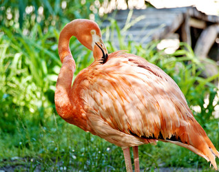 Similar image 1740094