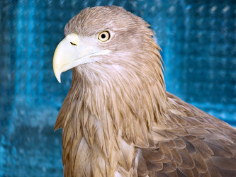 Similar image 1740096