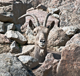 Similar image 1740098