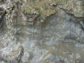 Similar image 1740123