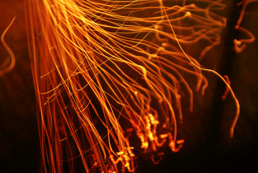 Similar image 1740248