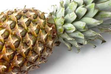 Similar image 1740269