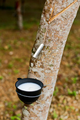 Similar image 1740278