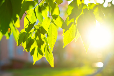 Similar image 1740280