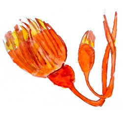 Similar image 1740368