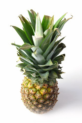 Similar image 1740568