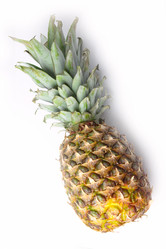 Similar image 1740569