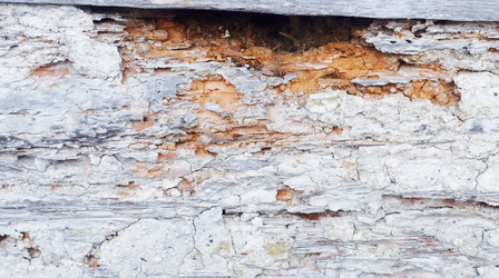 Similar image 1740578