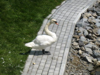 Similar image 1740726