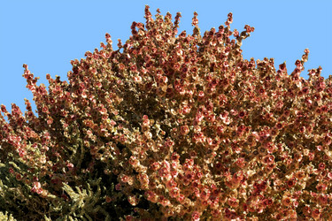 Similar image 1740767