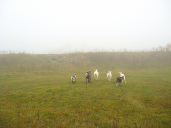 Similar image 1740781