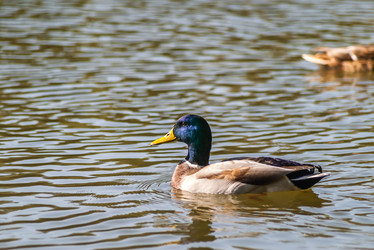 Similar image 1740934