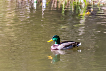 Similar image 1740936