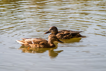 Similar image 1740937