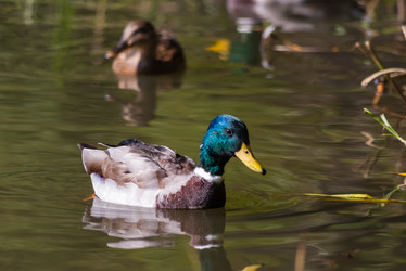 Similar image 1740948