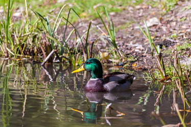 Similar image 1740949