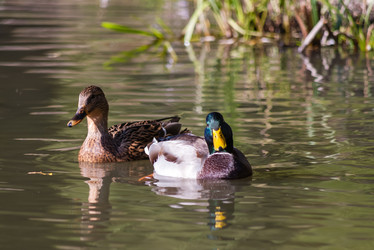 Similar image 1740950