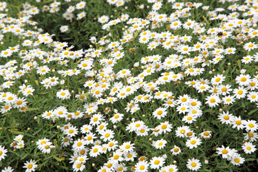 Similar image 1741027