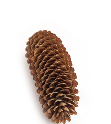 Similar image 1741063