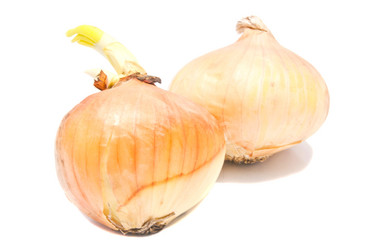 Similar image 1741408