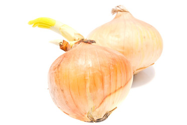 Similar image 1741409