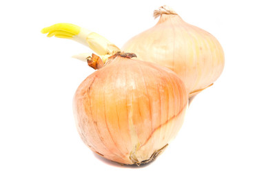 Similar image 1741410