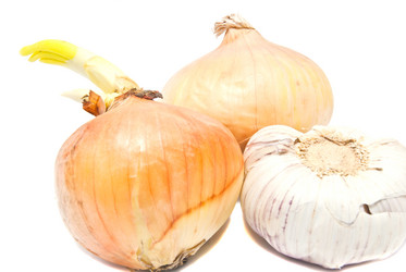 Similar image 1741412