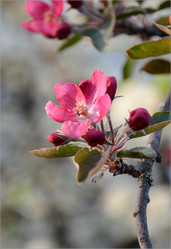 Similar image 1741518