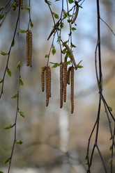 Similar image 1741519